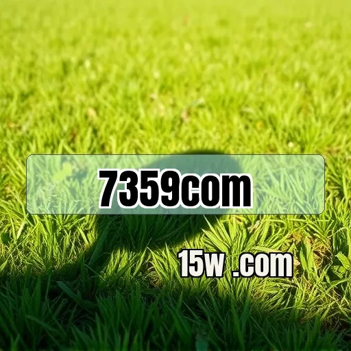 7359com: Conheça o App e Suas Funcionalidades Incríveis
